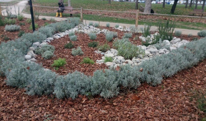 manutenzione del verde